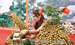 Đặc sắc Ngày hội 'nhãn Sông Mã'