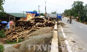 Tồn đọng nhiều vụ vi phạm đê điều chưa được xử lý