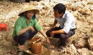 Hơn 7.600 trẻ dưới 5 tuổi được điều trị suy dinh dưỡng cấp tính