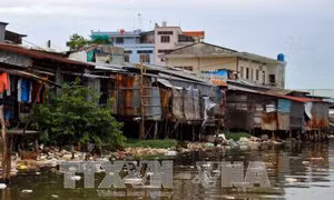 Cà Mau: Phát hiện thêm doanh nghiệp để rò rỉ nước thải ra sông Gành Hào 