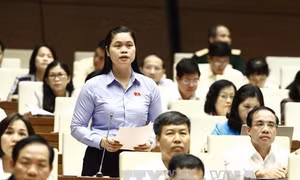 Quy định cụ thể các chính sách khuyến khích, thúc đẩy ngoại thương