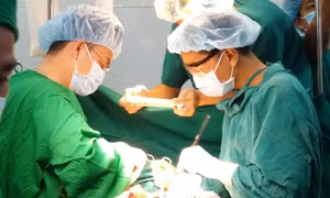 TP Hồ Chí Minh