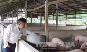  Người thương binh làm kinh tế giỏi