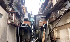 Thành phố Hồ Chí Minh
