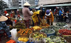 Các chợ đầu mối TP Hồ Chí Minh kiến nghị nhiều vấn đề bức xúc