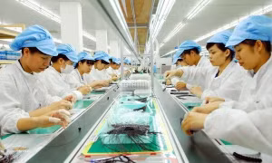 Kinh tế Việt Nam 2017: Sức ép tạo động lực mới