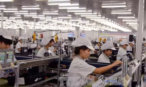 Việt Nam là thị trường mục tiêu của doanh nghiệp Mỹ tại ASEAN