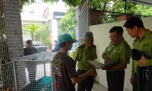 Người dân tự nguyện chuyển giao gấu nuôi 20 năm đến trung tâm cứu hộ 