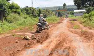 Sau 5 năm dân hiến đất, đường vẫn chưa được làm 