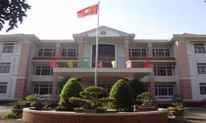 Đắk Nông: Huyện Đắk Song phản hồi việc bổ nhiệm cán bộ không đủ tiêu chuẩn 