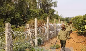 Đỉnh điểm mùa khô hanh, Tây Nguyên tập trung phòng chống cháy rừng