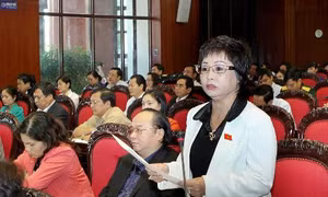 Kiểm điểm các sở ngành liên quan sai phạm của bà Châu Thị Thu Nga