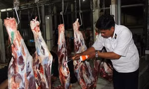 Ninh Thuận kiên quyết xử lý các lò giết mổ tự phát 