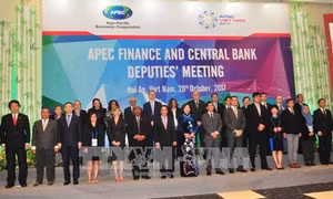 Việt Nam cần nhiều kinh nghiệm của APEC trong phát triển tài chính toàn diện