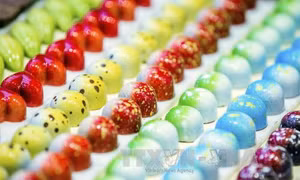 Du khách mãn nhãn tại triển lãm sôcôla Bỉ