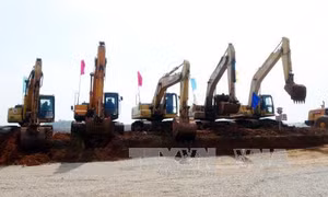 Yêu cầu dừng thi công dự án 'Trang trại chăn nuôi lợn tại Nghệ An' 