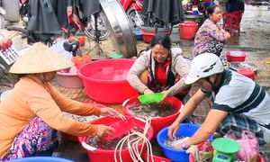 TP Hồ Chí Minh