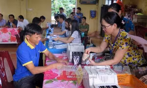Giám sát Formosa thực hiện đúng cam kết xử lý môi trường 
