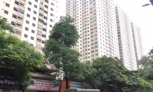 'Đụng' đâu cũng có sai phạm, công trình sai phép ngày càng 'nhờn' luật