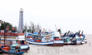 Bình Định nỗ lực đóng tàu đánh bắt xa bờ