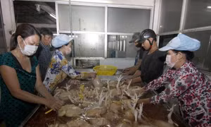Cơ hội xuất khẩu thịt gia cầm sang Nhật Bản