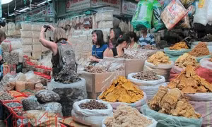 TP Hồ Chí Minh