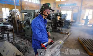 Dịch sốt xuất huyết có xu hướng chững lại nhưng vẫn ở mức cao 