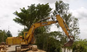 Quy hoạch đồng bộ khu vực ngập lũ đồng bằng sông Cửu Long