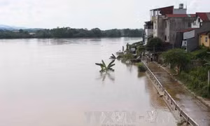 Tin lũ sông Hoàng Long, cảnh báo lũ sông Thao 