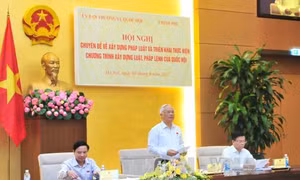 Nhiều tồn tại kéo dài trong xây dựng luật, pháp lệnh 