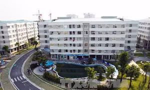 Ước mơ nhà giá rẻ ở đô thị lớn không dễ thành hiện thực