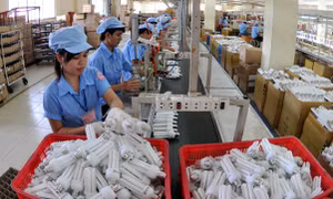 Nhãn xanh sinh thái - cần một đòn bẩy 
