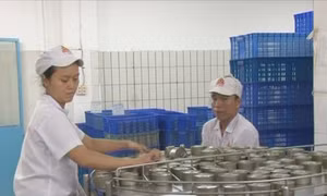 TP Hồ Chí Minh