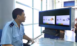 Lãnh đạo phải chịu trách nhiệm nếu để hình thành đường dây buôn lậu lớn 
