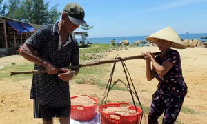 Ngư dân Hà Tĩnh trúng đậm ruốc biển