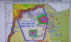 Các nhà khoa học khảo sát môi trường tại Tuy Phong, Bình Thuận