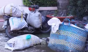 Bắt quả tang vận chuyển nửa tấn nội tạng động vật bốc mùi hôi thối