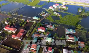 Nghệ An: Hàng ngàn hộ dân ngoài đê sông Lam vẫn sống chung với nước lũ