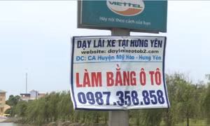 Ngang nhiên trưng biển quảng cáo thi bằng lái ô tô trái quy định 