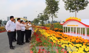 Xuân về trên vùng biên giới Long An