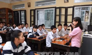 Giáo viên chuyển làm giảng viên đại học có phải tập sự?