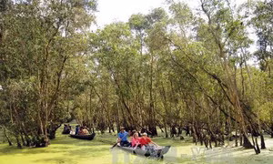 Không để 'con sâu' làm rầu 'nồi canh' du lịch lữ hành