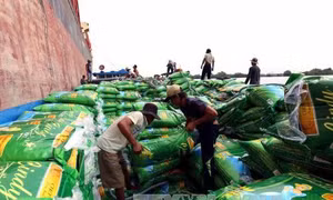 Luồng gió mới cho quan hệ thương mại Việt Nam với Indonesia và Myanmar 