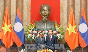 Chủ tịch nước Trần Đại Quang hội kiến Tổng Bí thư, Chủ tịch nước Lào