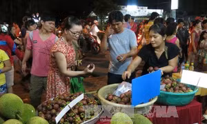 Thức đêm, bỏ bữa: ‘Kẻ thù’ của sĩ tử mùa thi