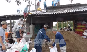 Ứng phó với bão số 16: Khẩn cấp sơ tán, di dời dân đến nơi an toàn 