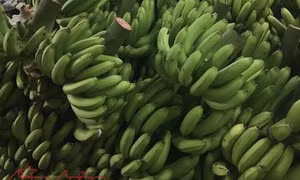 TP Hồ Chí Minh