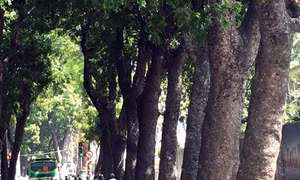 TP Hồ Chí Minh