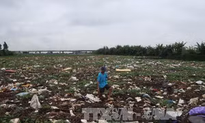  Rác thải dày gần 1m, 'bức tử' sông Đình Đào, Hải Dương