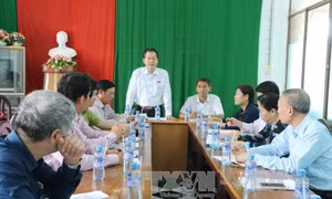 Phát triển rừng tại Sóc Trăng đạt nhiều kết quả tích cực